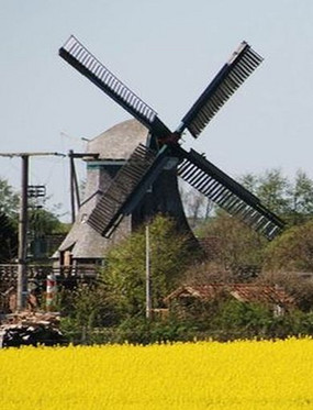 Mühle Renata